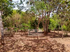 Fazenda / Sítio / Chácara com 4 Quartos à venda, 75000m² no Zona Rural, Bonfinópolis - Foto 22