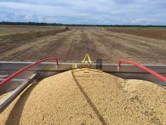 Fazenda / Sítio / Chácara com 1 Quarto à venda, 100m² no Zona Rural, Santana do Araguaia - Foto 4