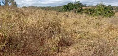 Fazenda / Sítio / Chácara com 3 Quartos à venda, 30000m² no Area Rural de Santo Antonio do Descoberto, Santo Antônio do Descoberto - Foto 1