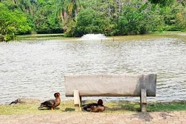 Casa de Condomínio com 2 Quartos à venda, 400m² no Condomínio Vila Verde, Itapevi - Foto 32