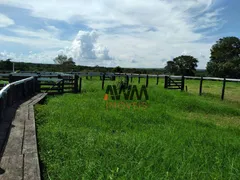 Fazenda / Sítio / Chácara à venda, 2758800m² no Zona Rural, Jussara - Foto 1