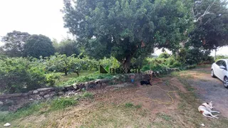 Fazenda / Sítio / Chácara com 2 Quartos à venda, 13000m² no Macuco, Valinhos - Foto 10
