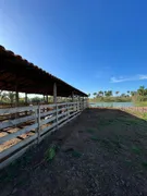 Fazenda / Sítio / Chácara à venda no , Itapecuru Mirim - Foto 22