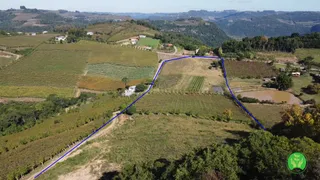 Fazenda / Sítio / Chácara à venda, 35000m² no Zona Rural, Santa Tereza - Foto 3