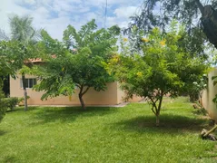 Fazenda / Sítio / Chácara com 3 Quartos à venda, 2000m² no Centro, Guapiaçu - Foto 7