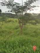 Terreno / Lote / Condomínio à venda, 500m² no Eixo Quebrado, Brumadinho - Foto 7