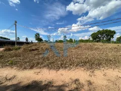 Fazenda / Sítio / Chácara com 2 Quartos à venda, 1500m² no Zona Rural, Carmo do Cajuru - Foto 49