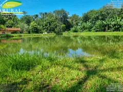 Fazenda / Sítio / Chácara com 2 Quartos à venda, 20000m² no Zona Rural, Bela Vista de Goiás - Foto 9