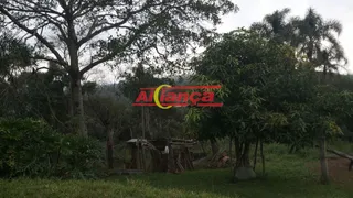 Fazenda / Sítio / Chácara com 2 Quartos à venda, 100m² no , Santa Isabel - Foto 24