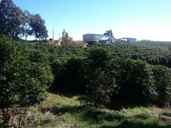 Fazenda / Sítio / Chácara com 3 Quartos à venda, 90m² no Zona Rural, Lambari - Foto 24