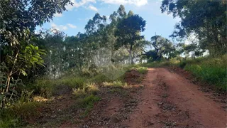 Fazenda / Sítio / Chácara com 1 Quarto à venda, 145200m² no Centro, Turvolândia - Foto 16