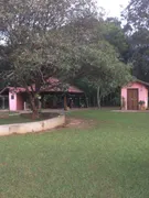 Fazenda / Sítio / Chácara com 4 Quartos à venda, 121000m² no Zona Rural, Cássia dos Coqueiros - Foto 2