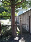 Terreno / Lote / Condomínio à venda, 680m² no Morro do Espelho, São Leopoldo - Foto 10