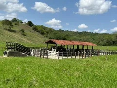 Fazenda / Sítio / Chácara à venda, 212000m² no Area Rural de Garanhuns, Garanhuns - Foto 18