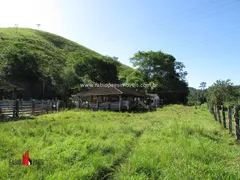 Fazenda / Sítio / Chácara com 3 Quartos à venda, 2081200m² no Zona Rural, Rio Bonito - Foto 10