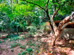 Fazenda / Sítio / Chácara com 3 Quartos à venda, 274m² no Jardim Parque Jupiá, Piracicaba - Foto 3