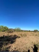Fazenda / Sítio / Chácara com 3 Quartos à venda, 732000m² no Zona Rural, Jaraguá - Foto 25