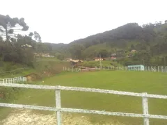 Fazenda / Sítio / Chácara com 2 Quartos à venda, 600m² no Zona Rural, Marmelópolis - Foto 4