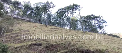 Terreno / Lote / Condomínio à venda, 37000m² no Zona Rural, Virgínia - Foto 20