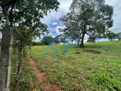 Terreno / Lote / Condomínio à venda, 290000m² no Zona Rural, São Sebastião do Oeste - Foto 6