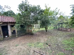 Fazenda / Sítio / Chácara com 2 Quartos à venda, 80000m² no Centro, Canelinha - Foto 6