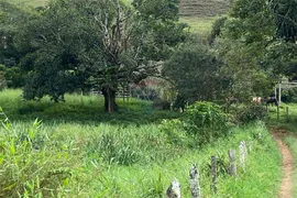 Fazenda / Sítio / Chácara com 2 Quartos à venda, 150000m² no Salvaterra, Juiz de Fora - Foto 15