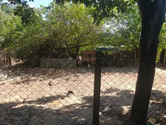 Fazenda / Sítio / Chácara com 3 Quartos à venda, 10000000m² no Jardim dos Lopes, Limeira - Foto 32