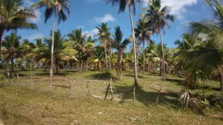 Fazenda / Sítio / Chácara à venda, 50000m² no Zona Rural, Conde - Foto 1