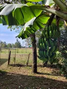 Fazenda / Sítio / Chácara à venda, 30000m² no Pinheirinho, Taubaté - Foto 24