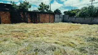 Terreno / Lote / Condomínio para alugar, 373m² no Alto da Boa Vista, Londrina - Foto 2