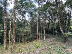 Fazenda / Sítio / Chácara à venda, 20000m² no Saltinho, Campo Alegre - Foto 14