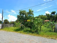 Terreno / Lote / Condomínio à venda, 779m² no Petrópolis, Joinville - Foto 2