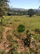 Fazenda / Sítio / Chácara à venda, 48400m² no Zona Rural, Heitoraí - Foto 8