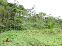 Fazenda / Sítio / Chácara com 4 Quartos à venda, 183000m² no Zona Rural, Rio Bonito - Foto 50