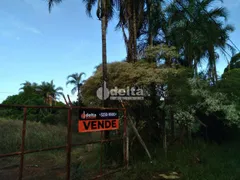 Fazenda / Sítio / Chácara com 1 Quarto à venda, 5000m² no Panorama, Uberlândia - Foto 4