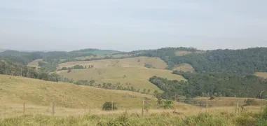 Fazenda / Sítio / Chácara com 3 Quartos à venda, 80m² no Area Rural de Capao Bonito, Capão Bonito - Foto 5