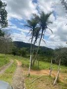 Fazenda / Sítio / Chácara com 5 Quartos à venda, 70000m² no São Vicente de Paulo, Vitória de Santo Antão - Foto 67