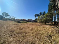 Fazenda / Sítio / Chácara com 2 Quartos à venda, 11600m² no Parque Cristo Redentor, Trindade - Foto 15