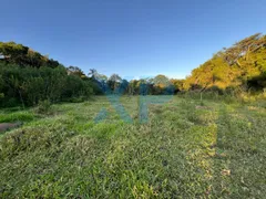 Fazenda / Sítio / Chácara com 2 Quartos à venda, 60m² no Zona Rural, São Sebastião do Oeste - Foto 8