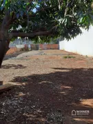 Terreno / Lote / Condomínio à venda, 498m² no Jardim Novo Alvorada, Maringá - Foto 4