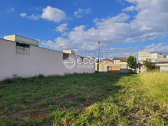 Terreno / Lote / Condomínio à venda, 300m² no Novo Mundo, Uberlândia - Foto 1
