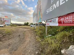 Terreno / Lote Comercial para alugar, 782m² no Rio Maina, Criciúma - Foto 1