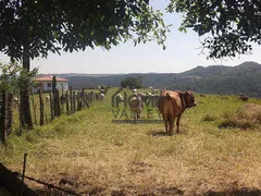 Fazenda / Sítio / Chácara com 2 Quartos à venda, 140m² no Lopes, Valinhos - Foto 117