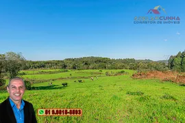 Fazenda / Sítio / Chácara à venda, 70000m² no Zona Rural, Três Coroas - Foto 19