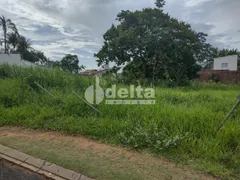 Terreno / Lote / Condomínio à venda, 600m² no Jardim Inconfidência, Uberlândia - Foto 5