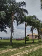 Fazenda / Sítio / Chácara com 3 Quartos à venda, 160m² no Area Rural de Amparo, Amparo - Foto 7