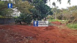 Terreno / Lote Comercial para alugar, 3000m² no Ribeirânia, Ribeirão Preto - Foto 6