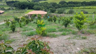Fazenda / Sítio / Chácara à venda, 5721m² no Centro, Cambuí - Foto 19