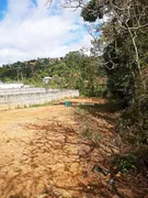 Terreno / Lote / Condomínio à venda, 500m² no Novo Horizonte, Juiz de Fora - Foto 3