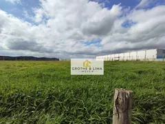 Terreno / Lote Comercial à venda, 20000m² no Pagador de Andrade, Jacareí - Foto 9